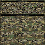 Custom Camo Black-Cream Performance Salute To Service T-Shirt photo 2