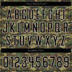 Custom Camo Black-Cream Performance Salute To Service T-Shirt photo 3
