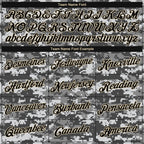 Custom Camo Black-Cream Performance Salute To Service T-Shirt photo 2