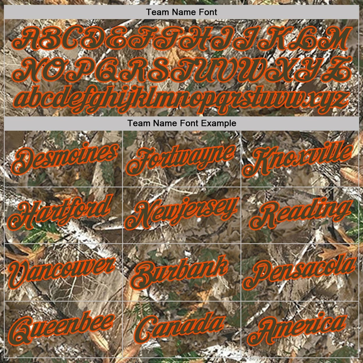 Custom Camo Olive-Orange Woodland Camouflage Salute To Service Performance T-Shirt photo 2
