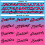 Custom Stitched Sky Blue Pink-Black Fade Fashion Sports Pullover Sweatshirt Hoodie photo 3