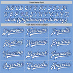 Custom Light Blue White-Royal Bomber Full-Snap Varsity Letterman Jacket photo 6