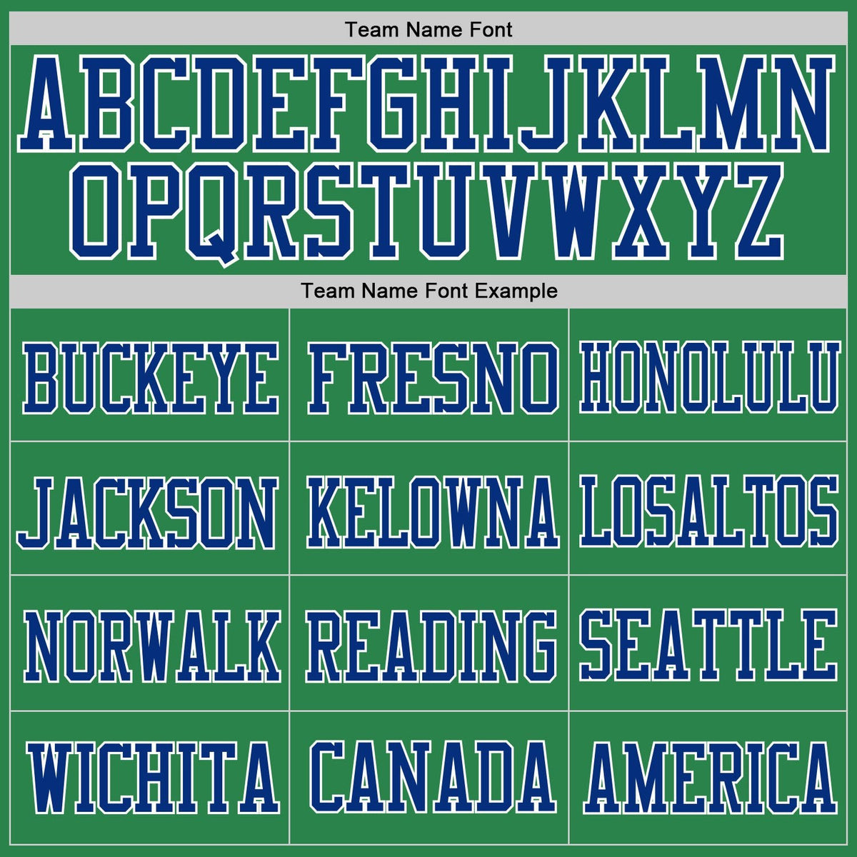 Custom Grass Green Royal-White Mesh Authentic Football Jersey photo 2