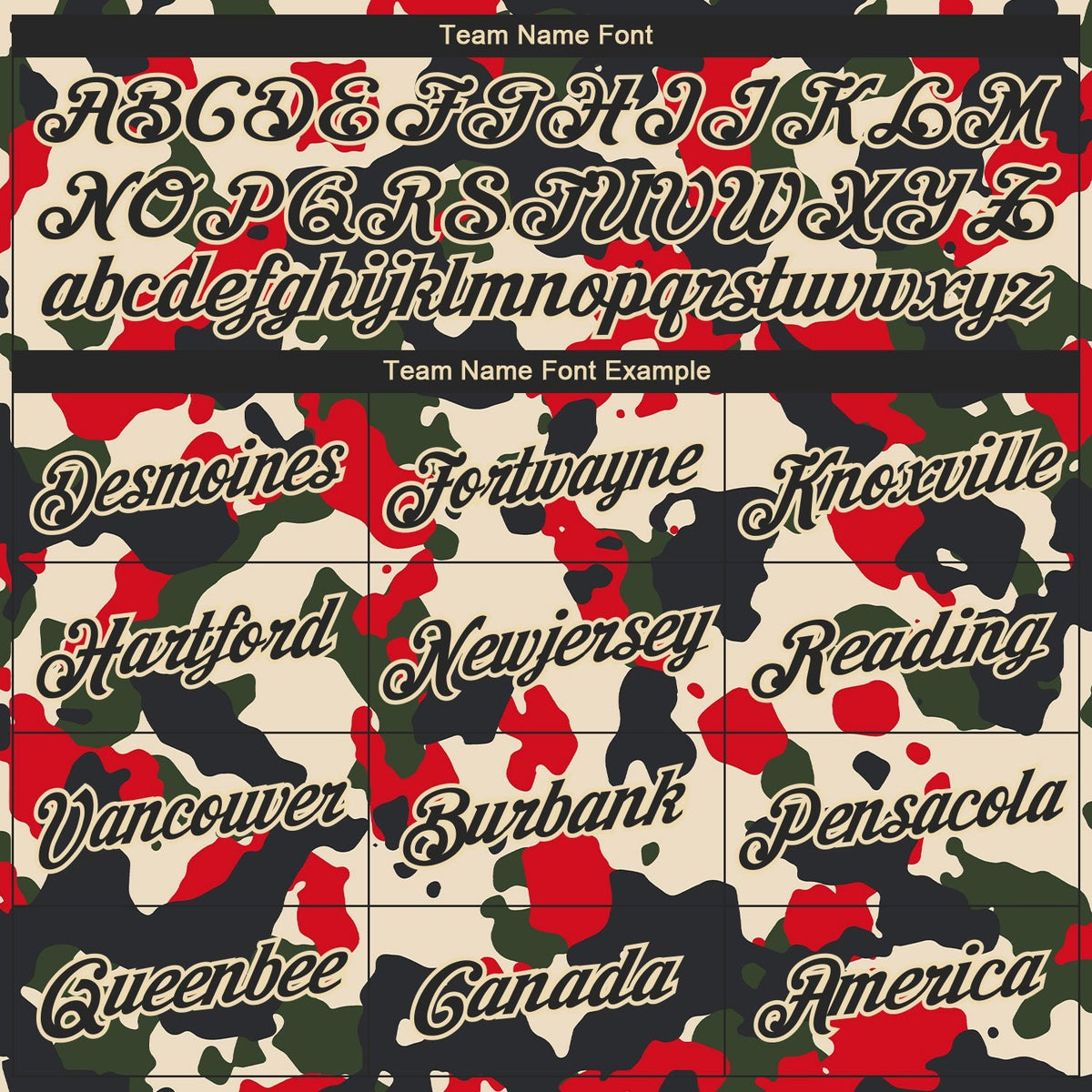Custom Camo Black-Cream Salute To Service Long Sleeve Performance T-Shirt photo 2