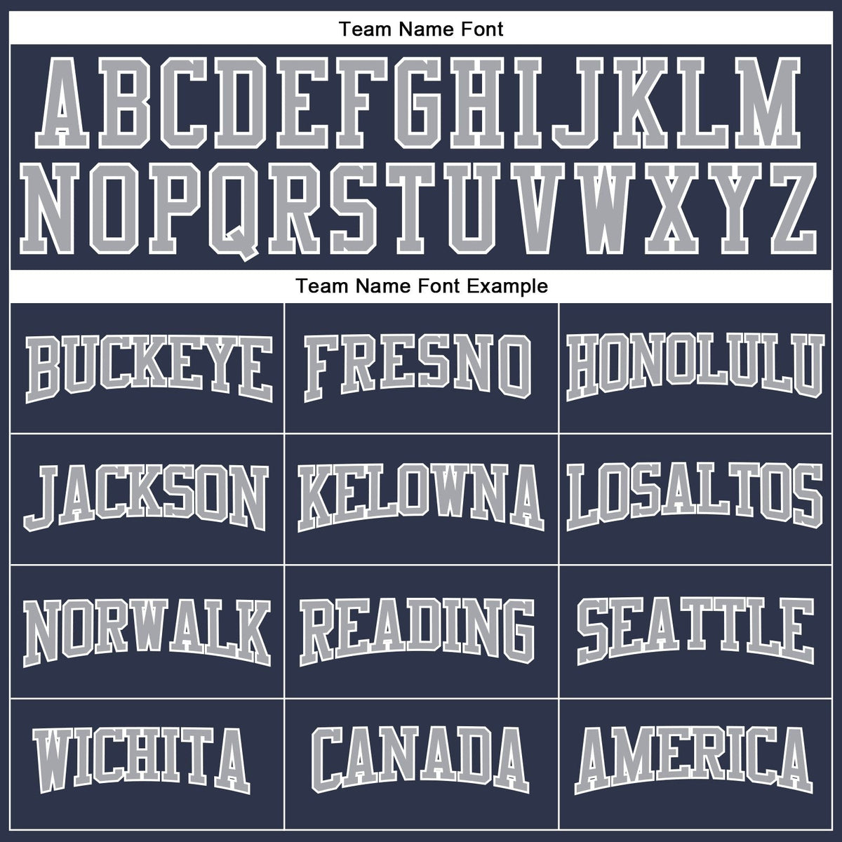 Custom Navy Gray-White Long Sleeve Performance Salute To Service T-Shirt photo 3