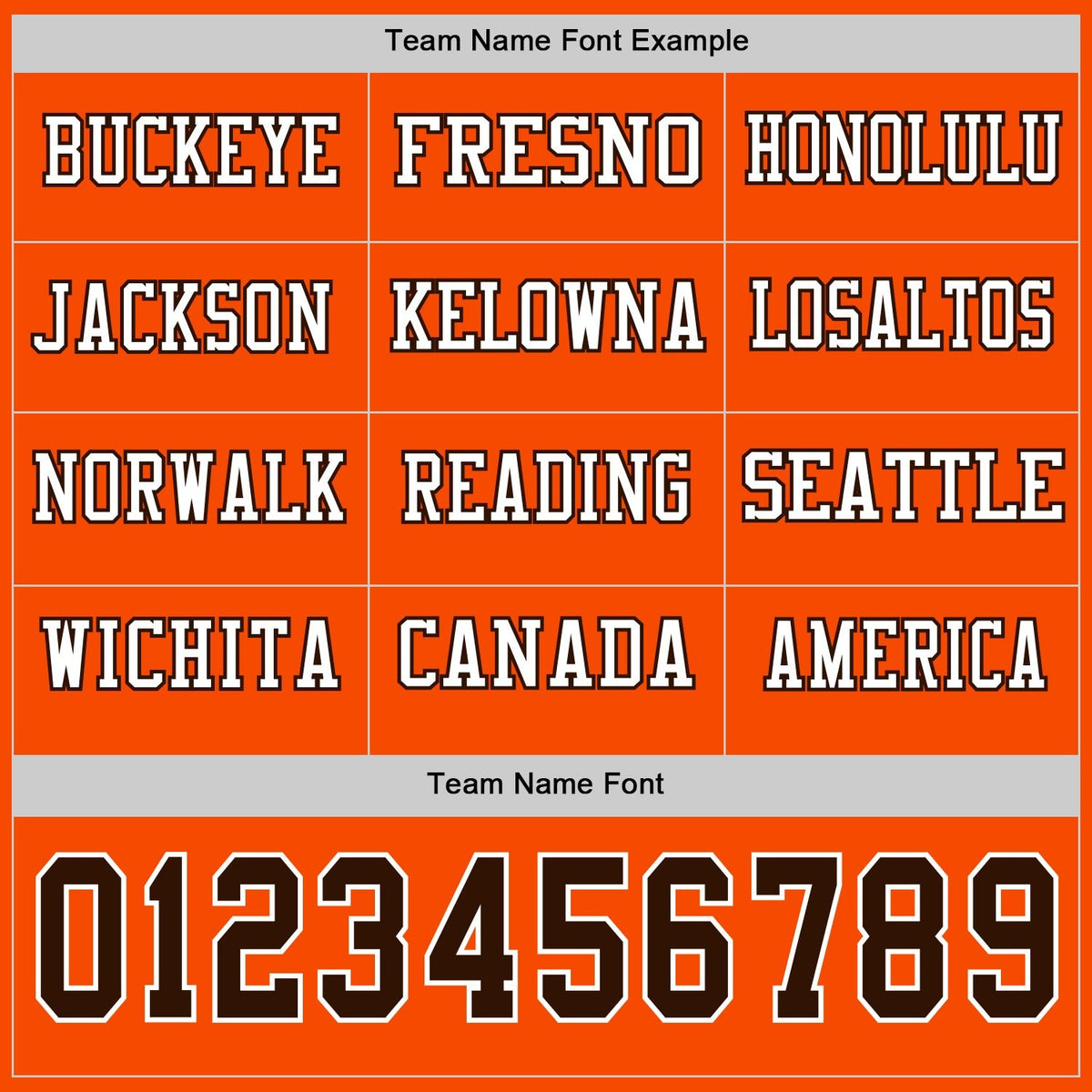 Custom Orange Brown-White Long Sleeve Authentic Football Jersey photo 2