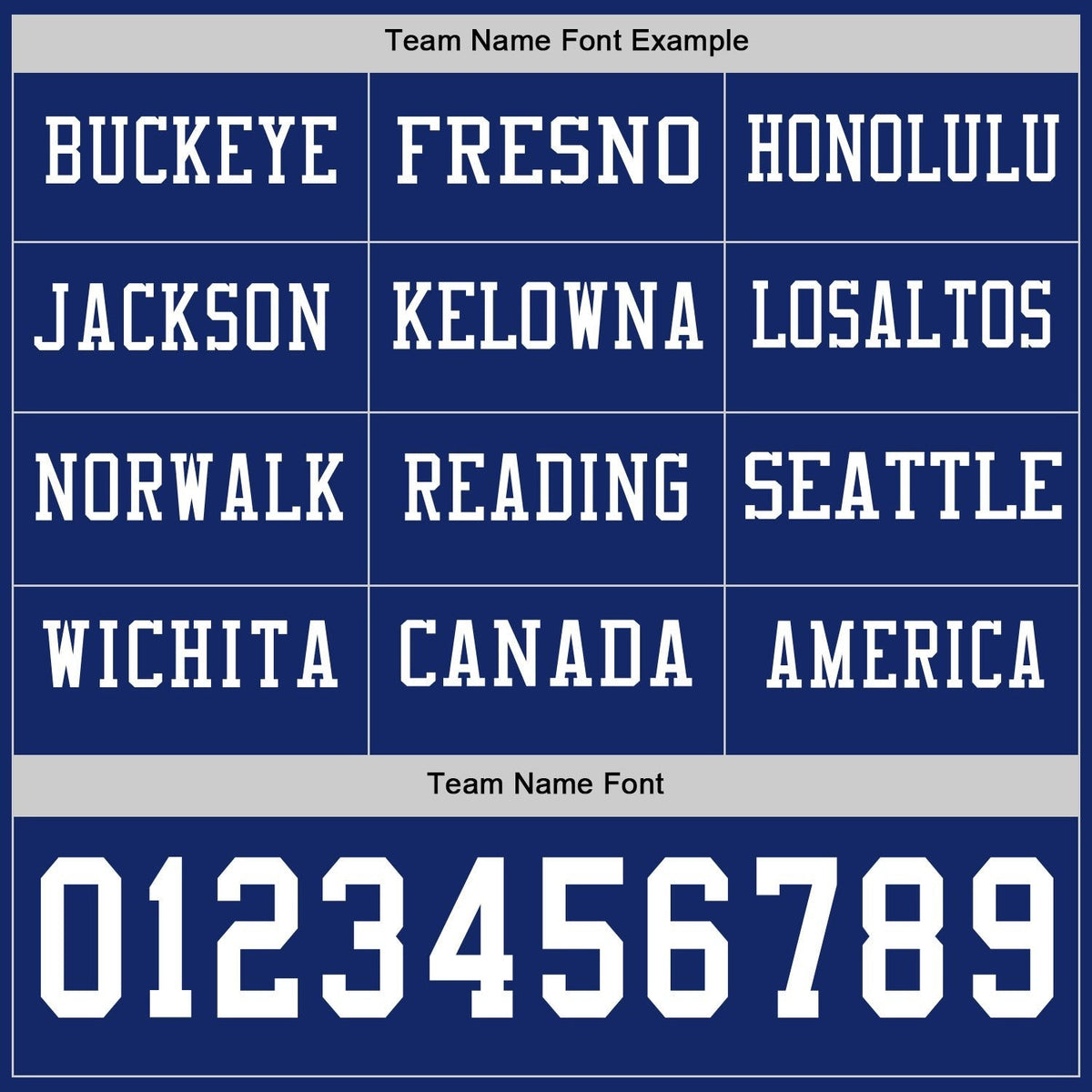 Custom Royal White Long Sleeve Authentic Football Jersey photo 2