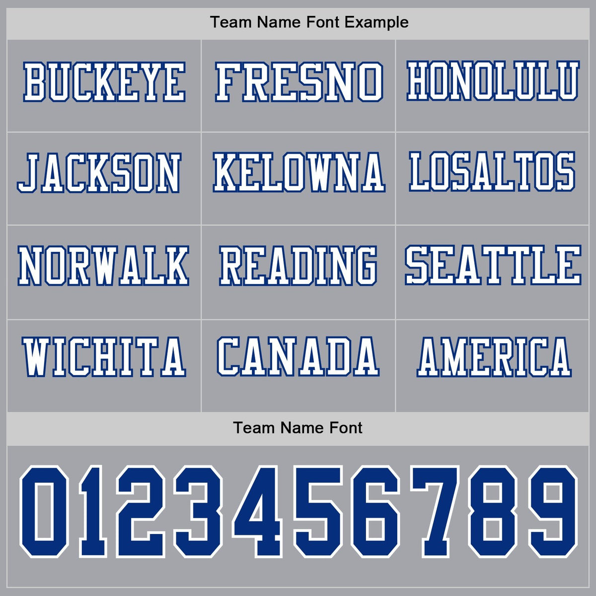 Custom Gray Royal-White Long Sleeve Authentic Football Jersey photo 2
