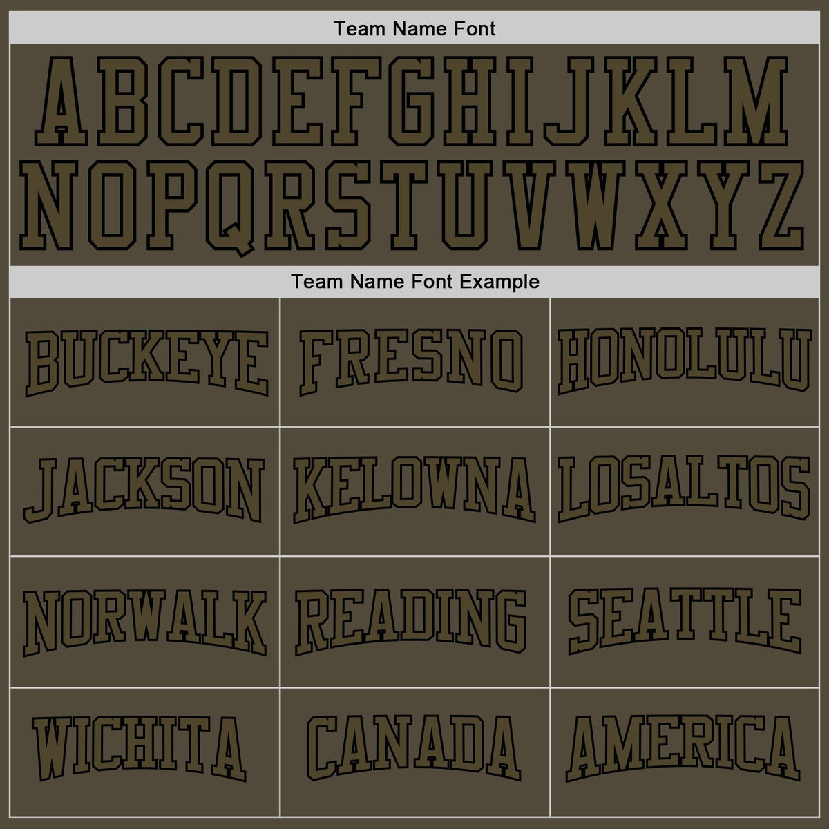 Custom Stitched Olive Olive-Black Sports Pullover Sweatshirt Salute To Service Hoodie photo 5