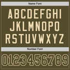 Custom Olive Olive-Cream Mesh Authentic Salute To Service Football Jersey photo 3