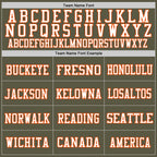 Custom Olive Orange-White Mesh Authentic Throwback Salute To Service Football Jersey photo 2