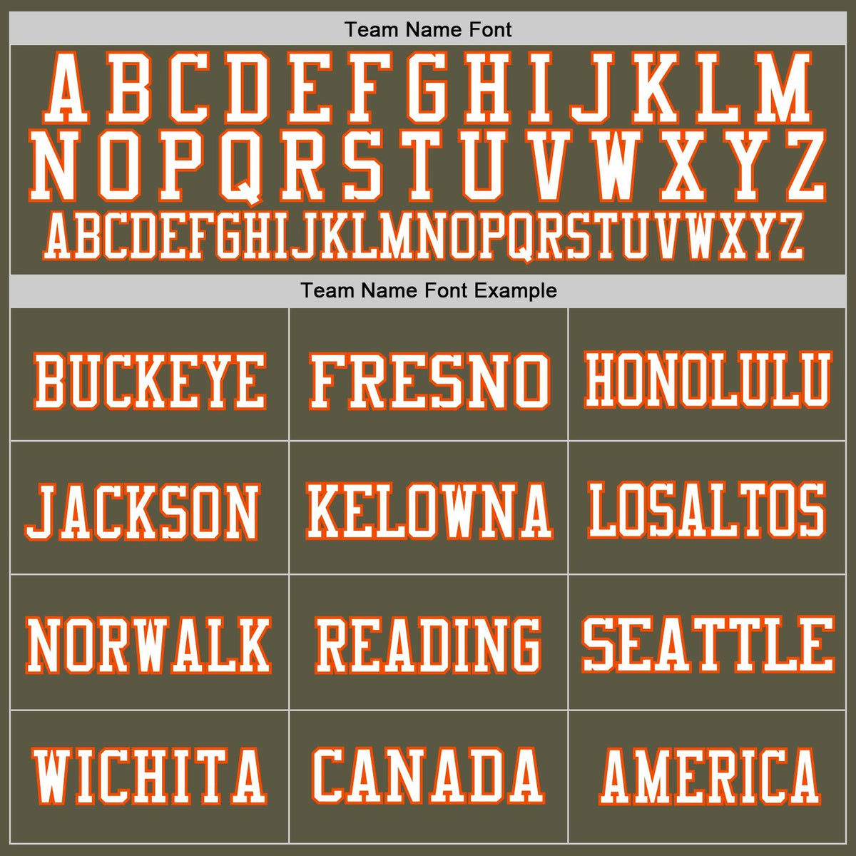 Custom Olive Orange-White Mesh Authentic Throwback Salute To Service Football Jersey photo 2