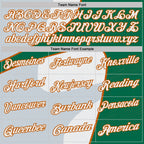 Custom White Kelly Green-Texas Orange Geometric Curved Line Performance Polo Shirt photo 4