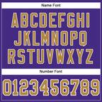 Custom Purple Old Gold-White Mesh Authentic Football Jersey photo 3