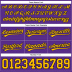 Custom Purple Gold-Black Authentic Throwback Basketball Shorts photo 2