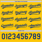 Custom Royal-Yellow Reversible Button-Down Baseball Jersey photo 5