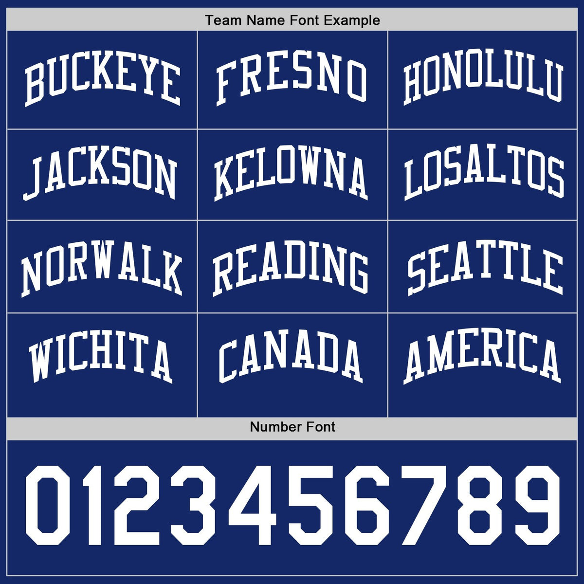 Custom Royal-White Reversible Button-Down Baseball Jersey photo 4