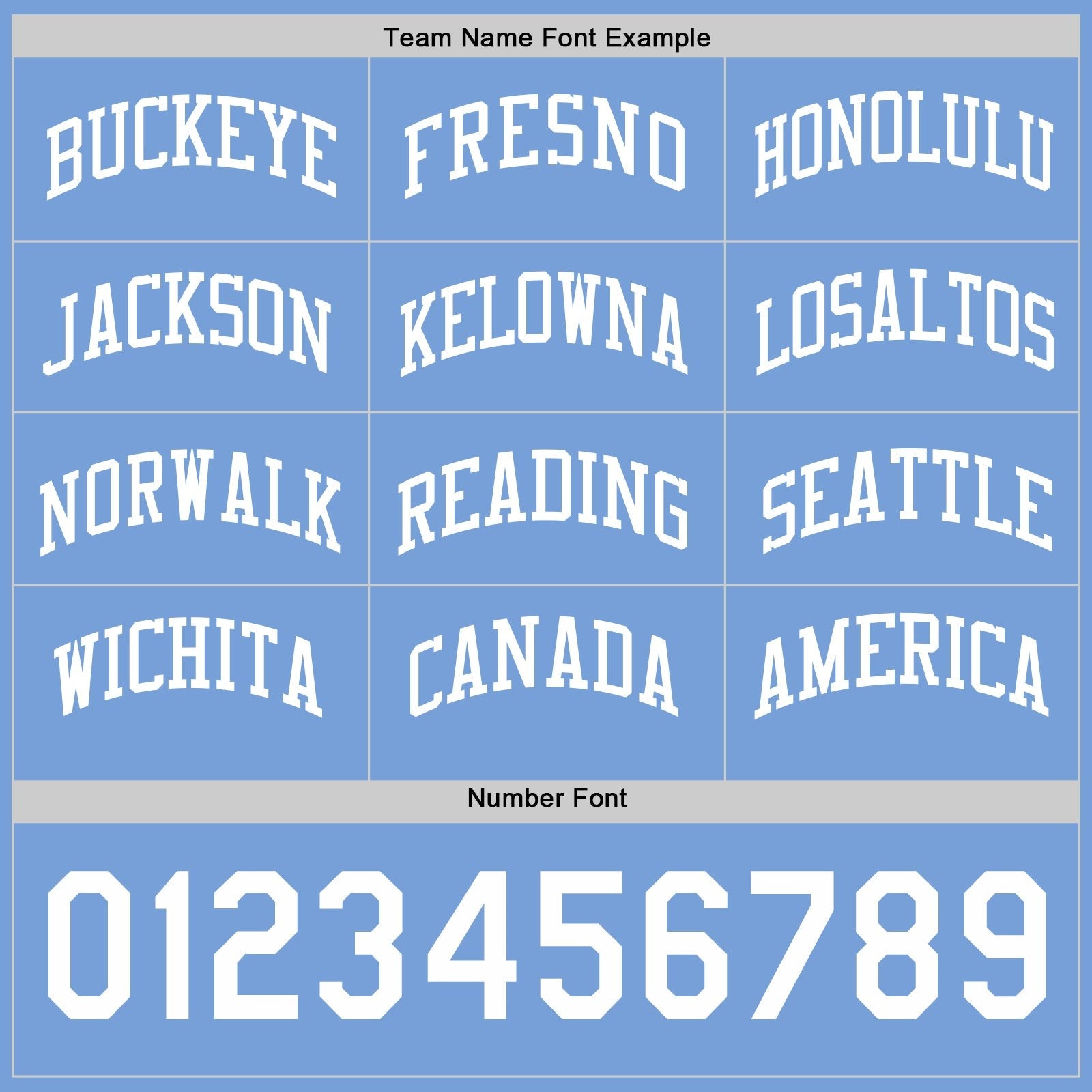 Custom Royal-White Reversible Button-Down Baseball Jersey photo 5