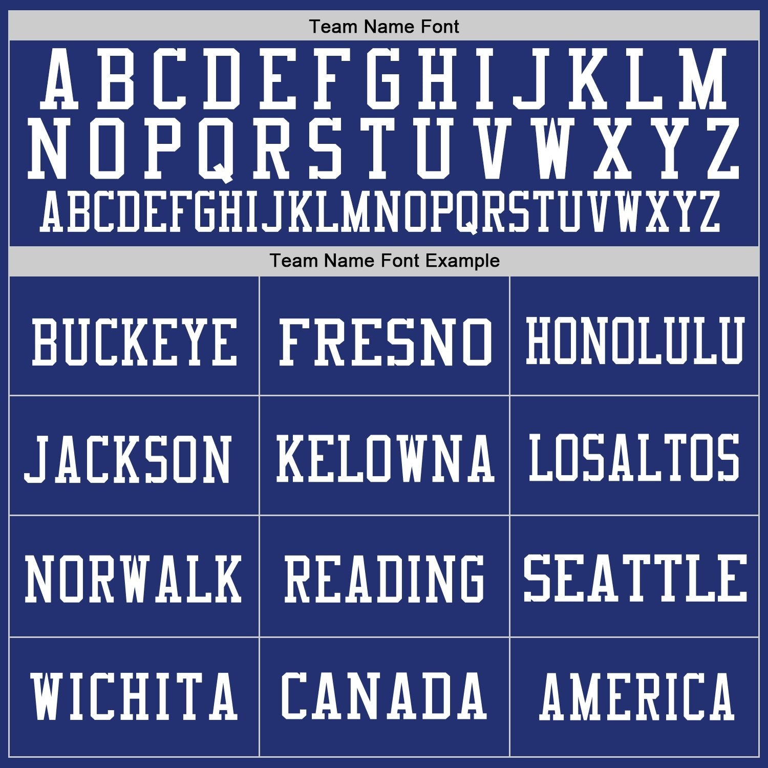 Custom Royal White Mesh Authentic Football Jersey photo 2
