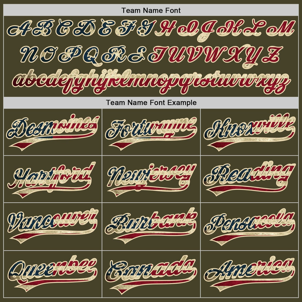 Custom Olive Vintage USA Flag-City Cream Salute To Service Two-Button Unisex Softball Jersey photo 5