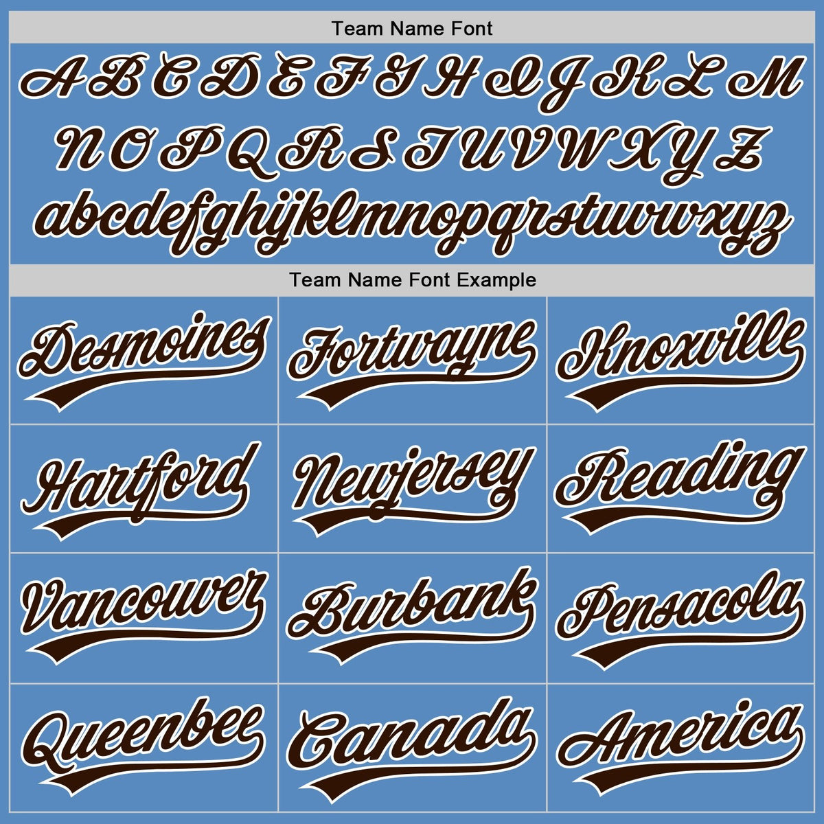 Custom Powder Blue Brown-White Two-Button Unisex Softball Jersey photo 4