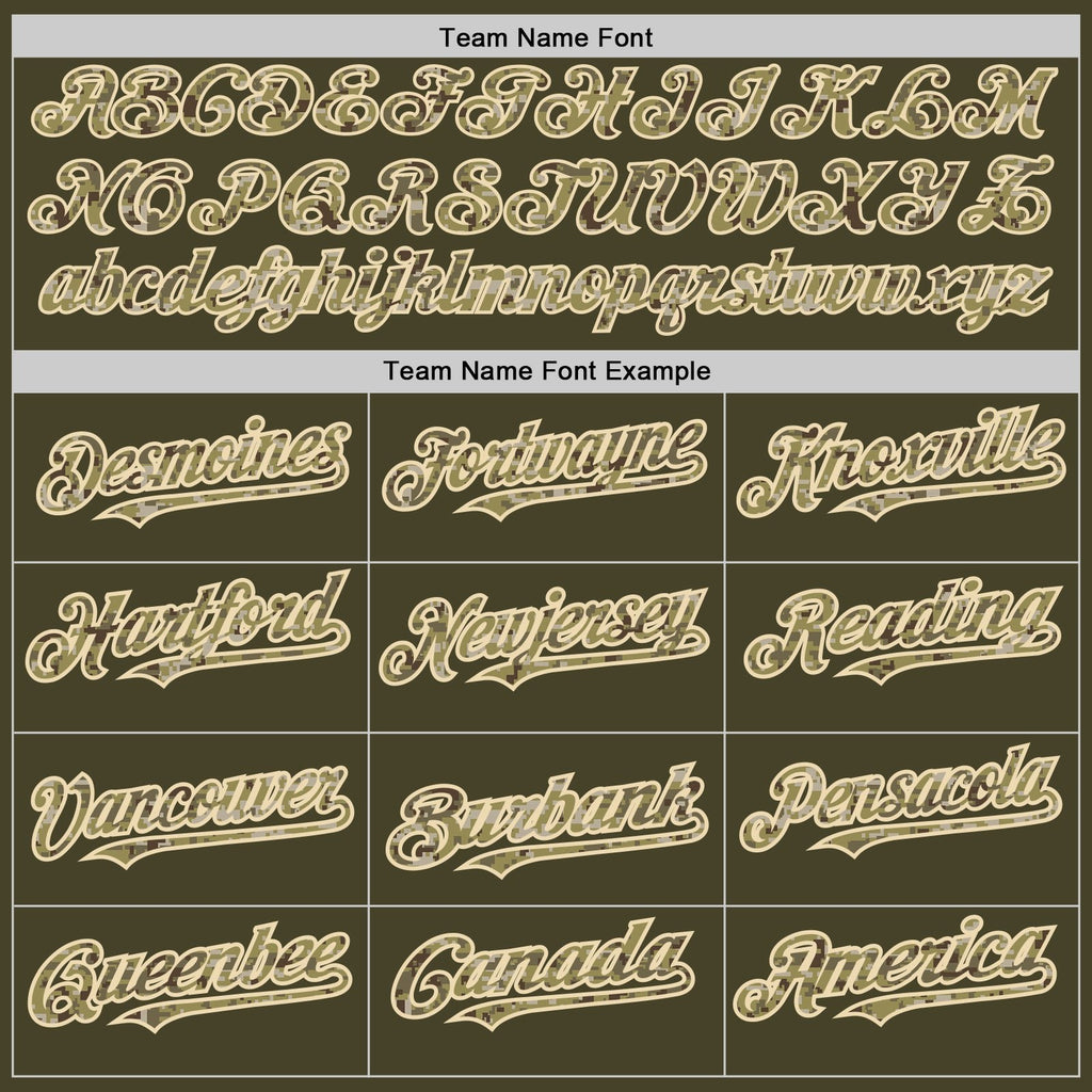 Custom Olive Cream Pinstripe Camo Salute To Service Two-Button Unisex Softball Jersey photo 4